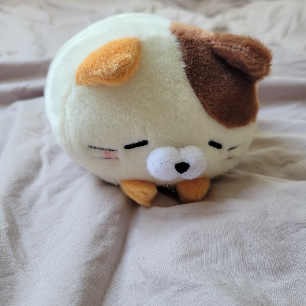 Sleepy cat